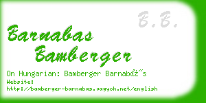 barnabas bamberger business card